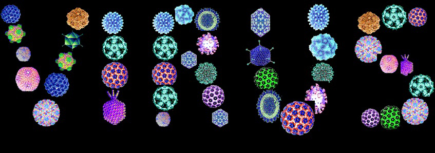 EL ENIGMATICO MUNDO DE LOS bioVIRUS